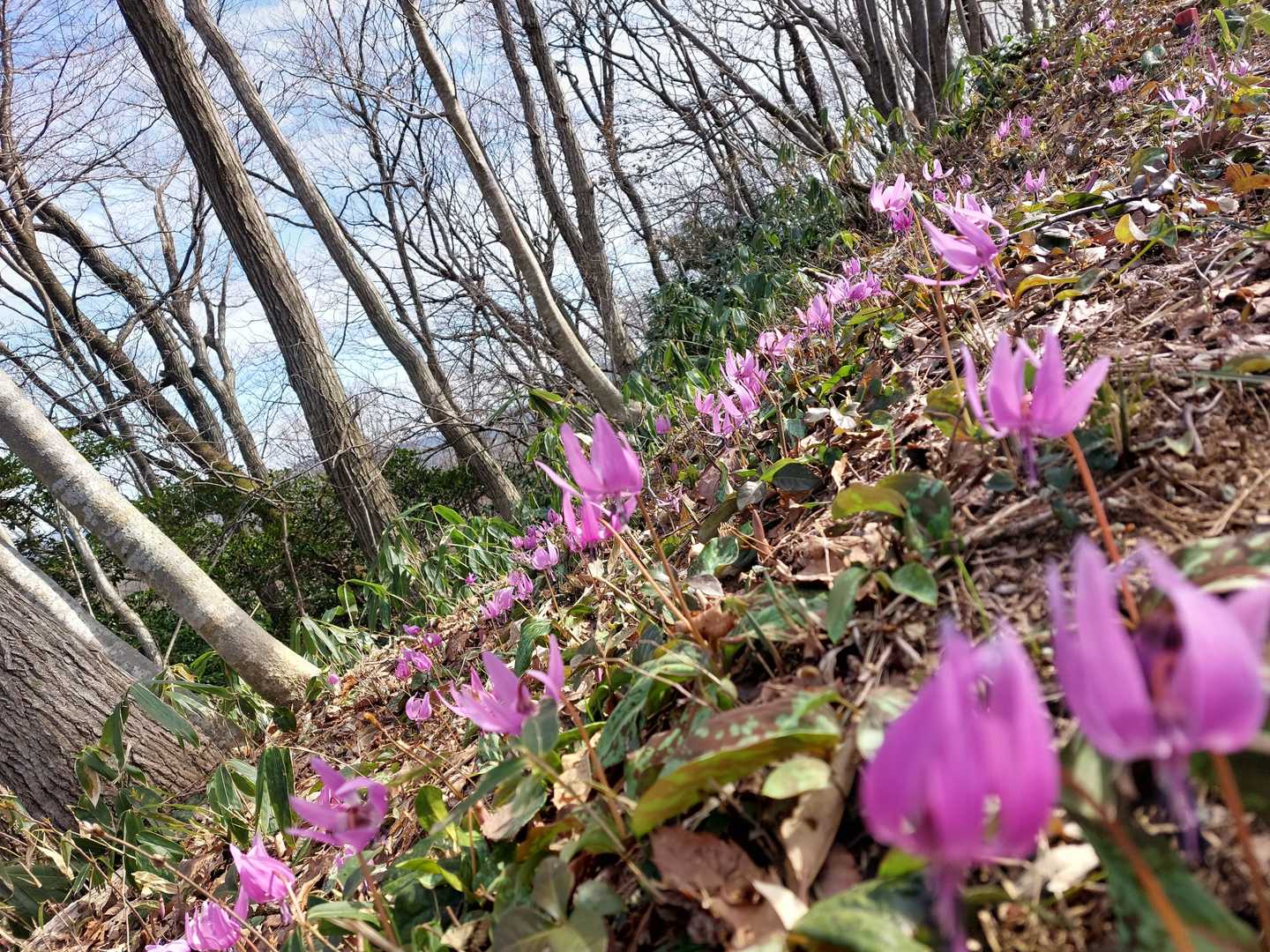 斜面にも