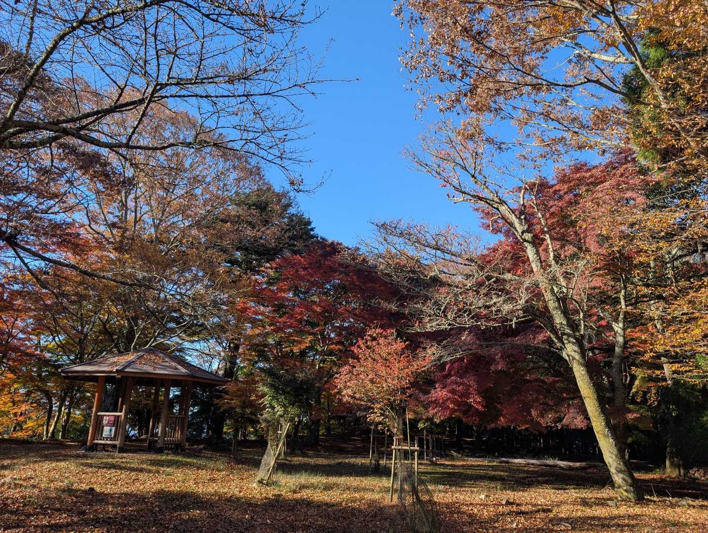 下山しま〜す😉
最後ありがとうございました。🙇