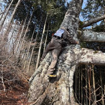 登ってみた🧗太郎を肌で感じた☺️