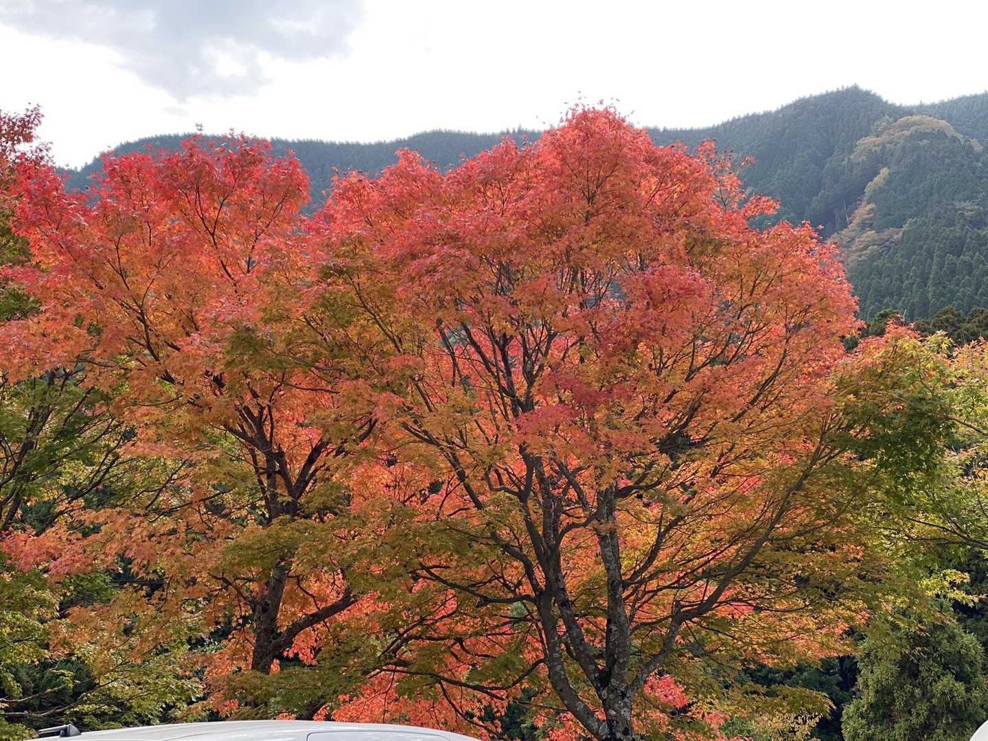 🔥🔥晴れたらサイコー☀️なんやけど