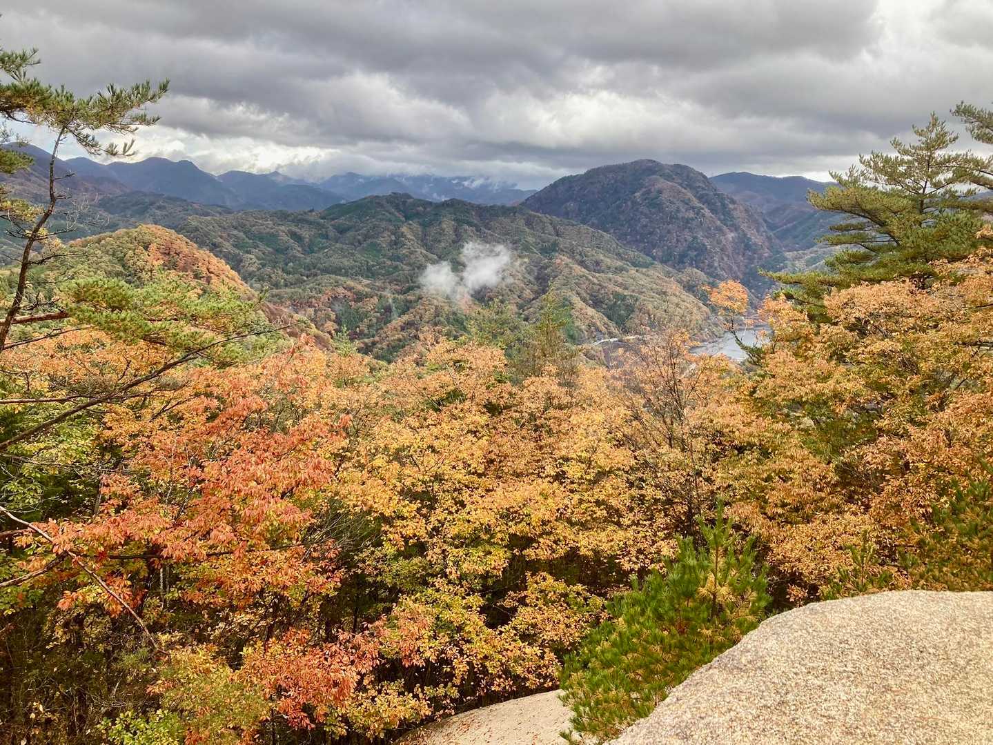 なかなか綺麗な紅葉🍁