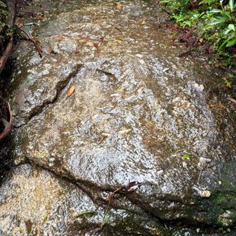 こんな岩沢山あるけどびしょびしょだからほんと滑ります