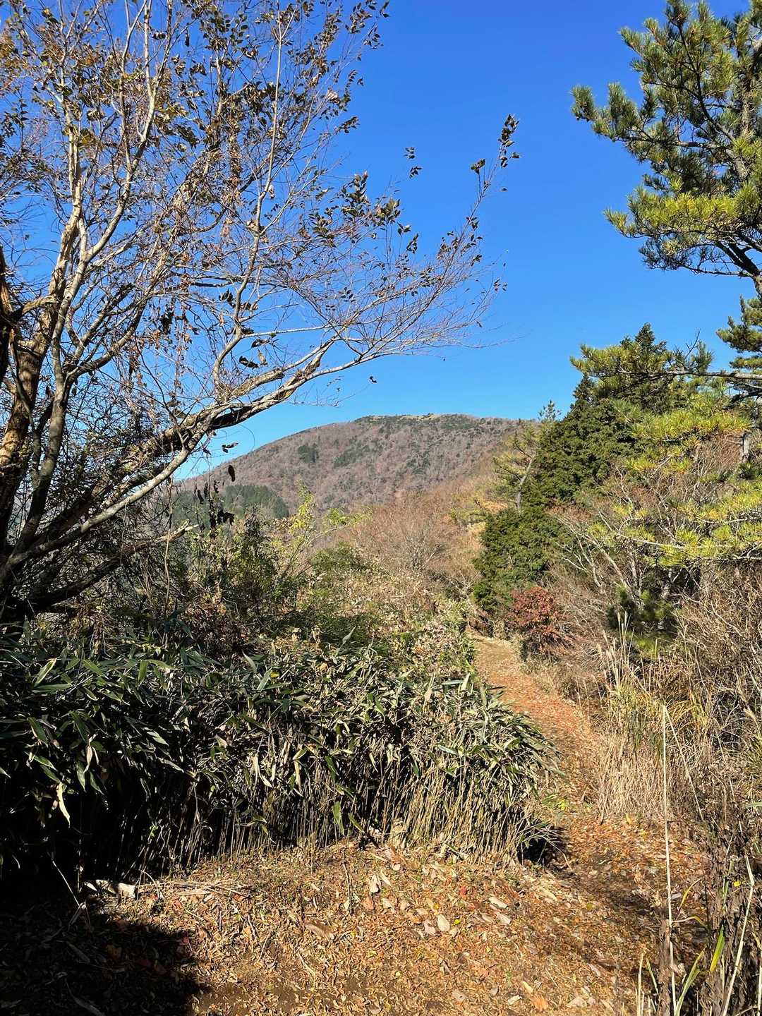 あそこまで登らんといかんのか…💦
