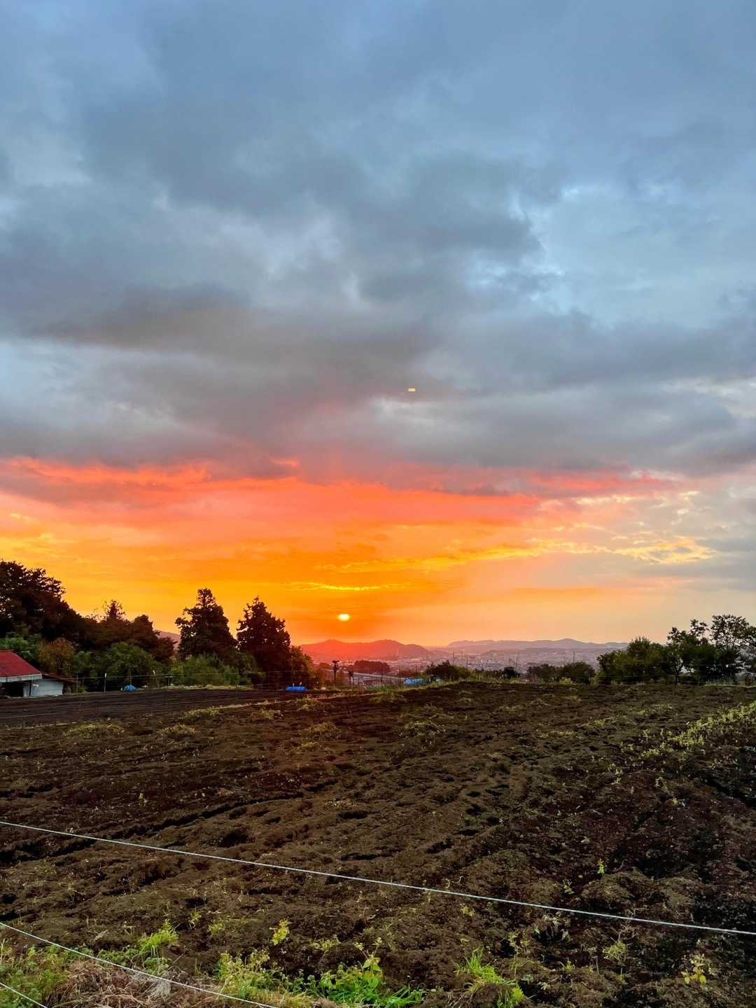 大倉バス停-後沢乗越-鍋割山-小丸 往復コースの写真