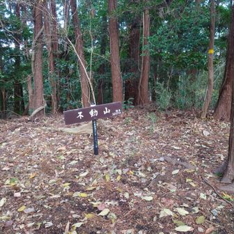 不動山