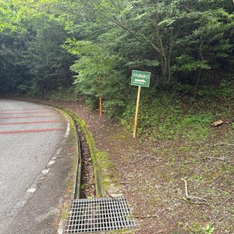 今日は山頂公園のトイレに寄りたいので、舗装路側に。