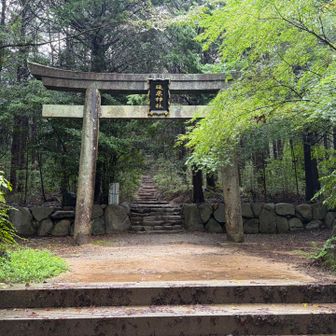約2か月ぶりの表参道
登り始め、何故かうるっときた🥲