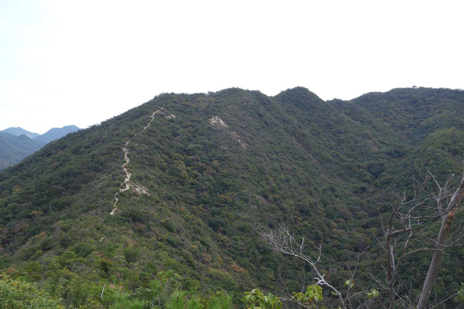 これから進む登山道。右端が山頂。