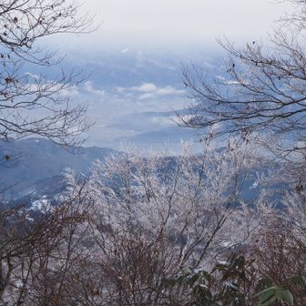 少しだけ霧氷も