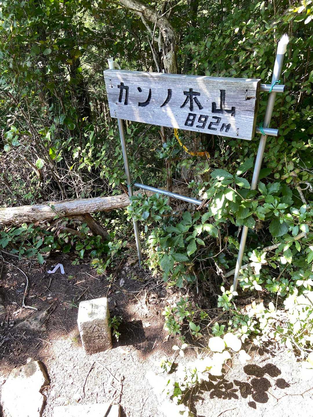カンノ木山-鷹ノ巣山 周回コースの写真