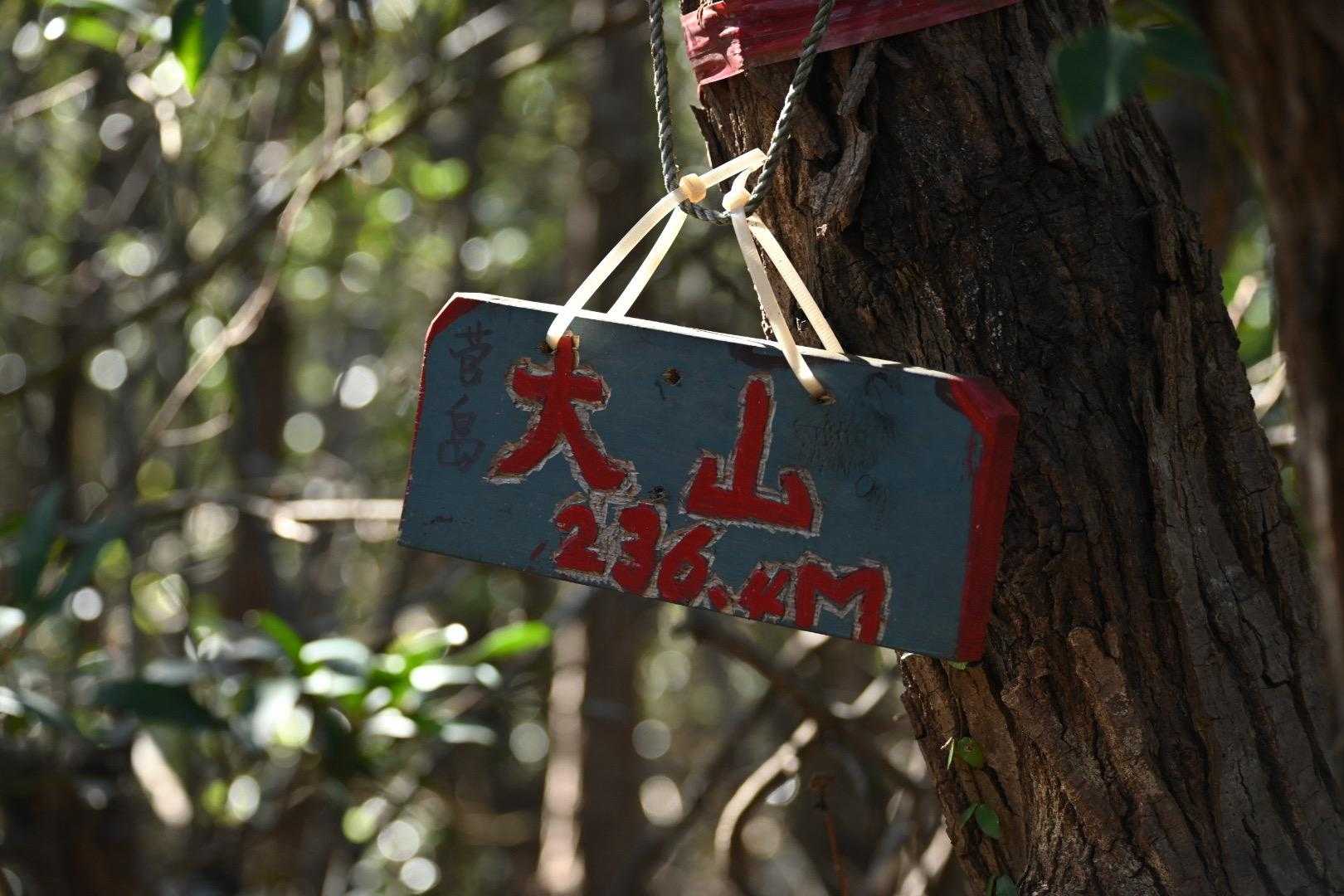 山頂到着