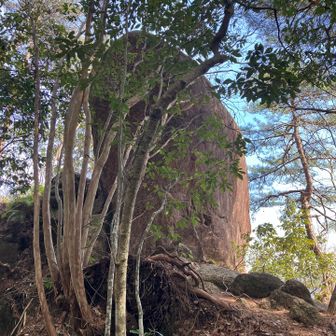 岩の上で、何度もヤッホーを叫ぶ