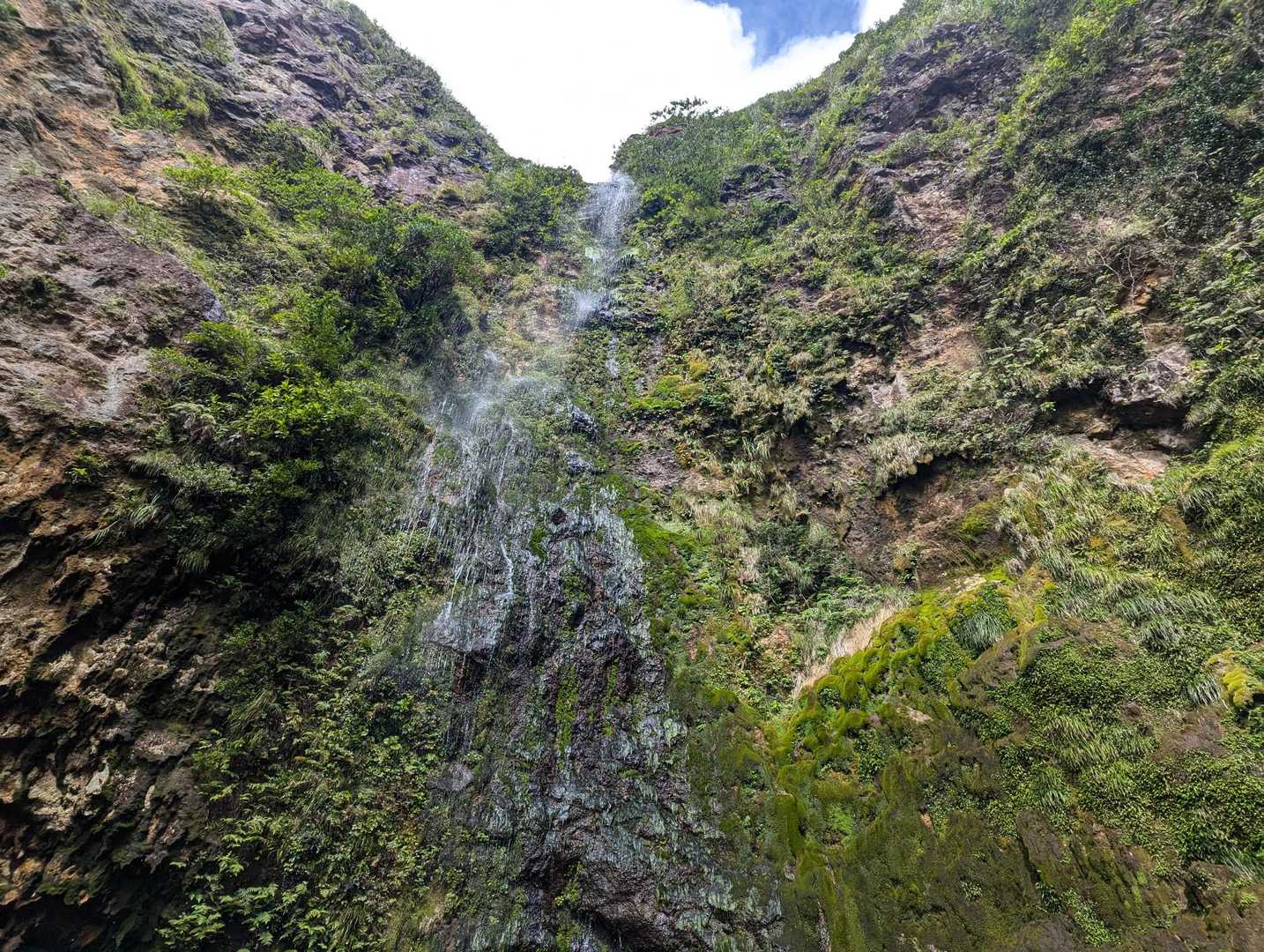 防衛道路登山口〜樫立登山口｜三原山縦走コースの写真