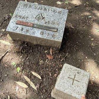 愛宕山三角点タッチ