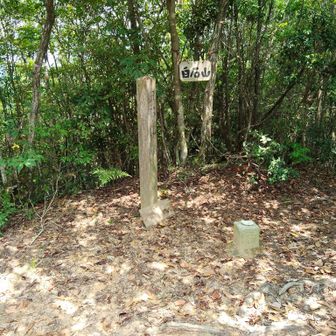 山頂の様子　眺望なし。