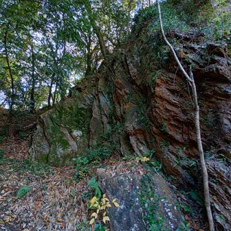 急登でした～
だからトレイル乱大会のコースではありません
大会では迂回路があります✌️