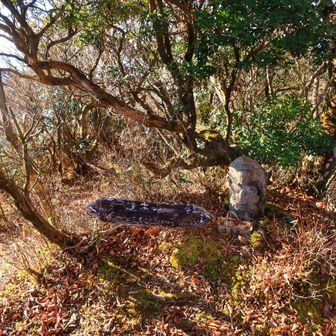 蓬莱岳ってとこまできてみた。展望はない