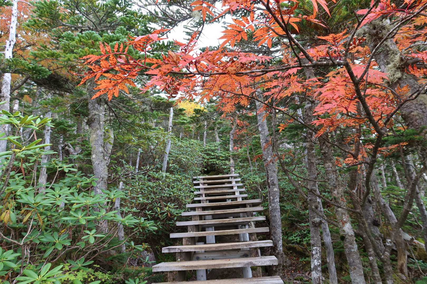 知られざる奥秩父山塊の最高峰。日本一高い車道峠から国師ヶ岳を越えての写真