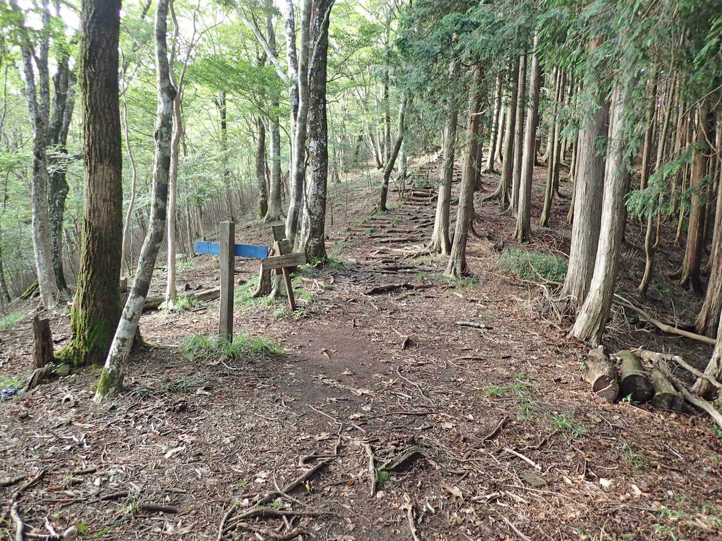左へ行くと下山だが天狗棚へ