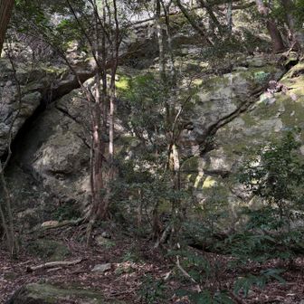 巨大な岩壁。黒髪山すごい∘⋆․⊹․

お寺出発した後くらいから
心身ともにホントしんどくて、歩みが亀🐢w
かっちゃんにたまに水飲ましてもらって
先導してもらって、なんとか進んで..