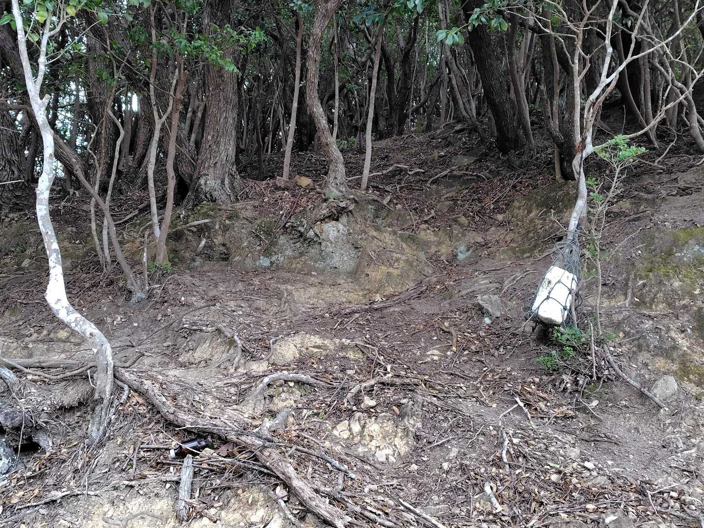 登山口の目印は、白い発泡スチロール‼️