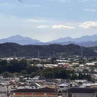 左の山武甲山？