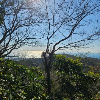 見晴台からの眺め