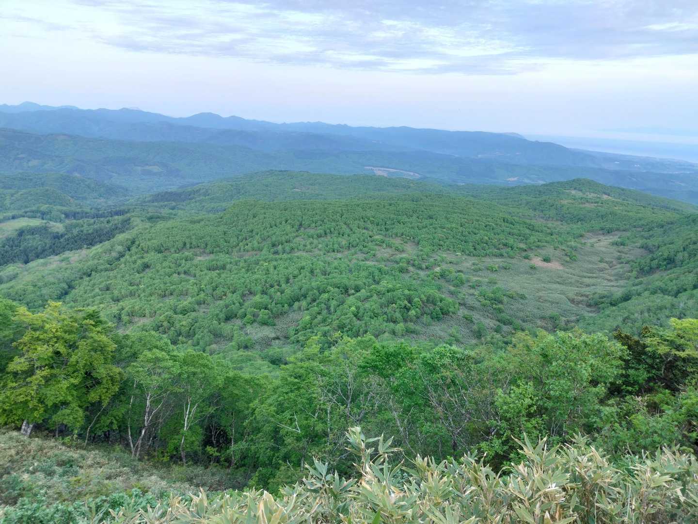 雁皮山・蝦夷松山登り口-蝦夷松山-雁皮山 往復コースの写真
