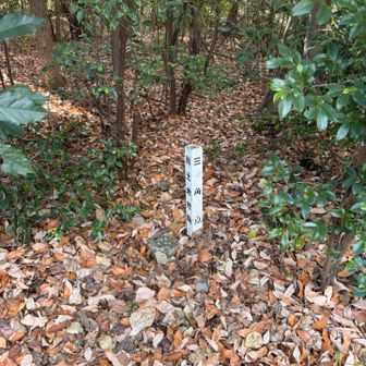 ⑦相生山
道の途中にありました