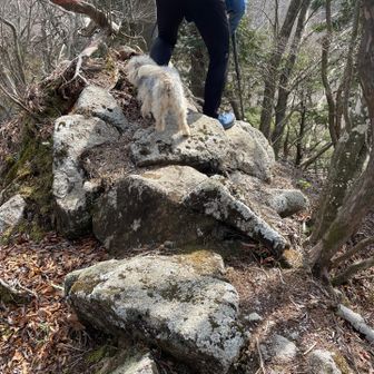 細〜い箇所
でも僕はヘッチャラ