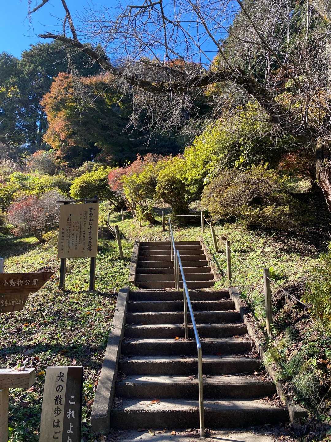 山頂までもう直ぐ！
