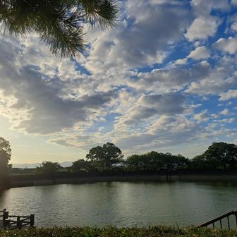 地蔵院に戻ってきました。

振り向いたらさっきの案山子が………、


なんてことはなく、
今日の山行も無事に終了です。