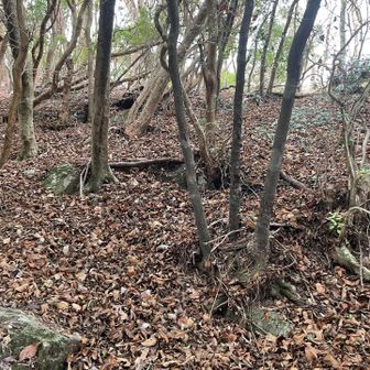 西峰は風車に半分近くを切り取られています。切り口の右と左のどちらから上がるのか迷いましたが、どうやら違った方から上がったようです。でも強引に登り切りました