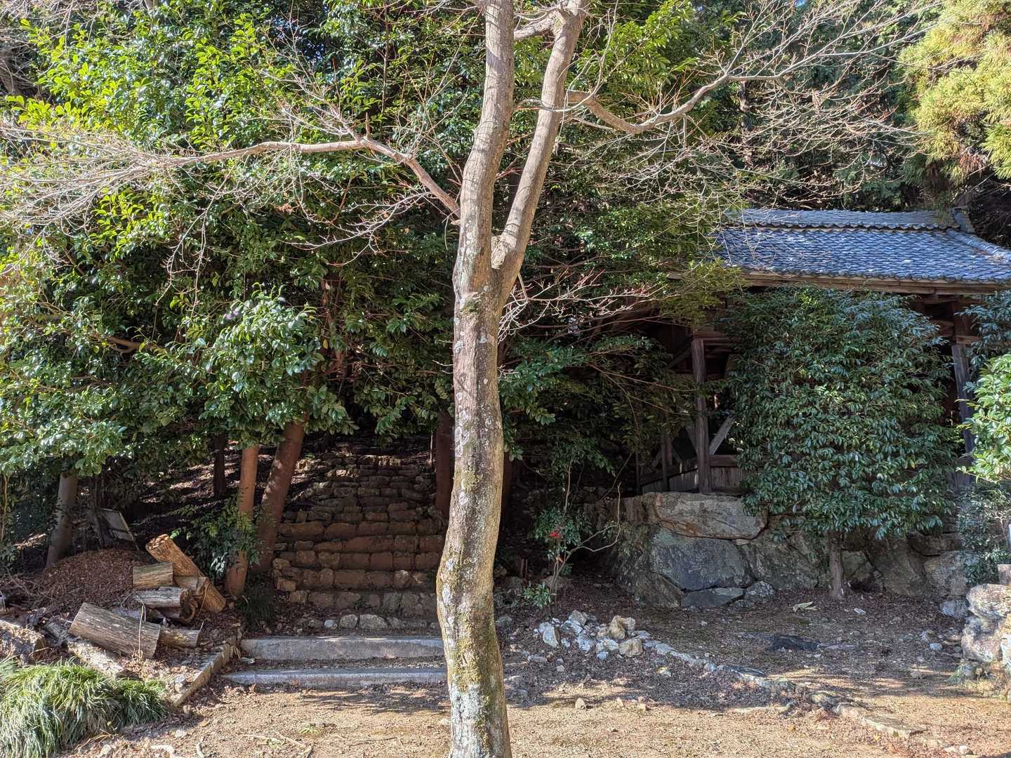 道路を歩いて行って
この階段とか