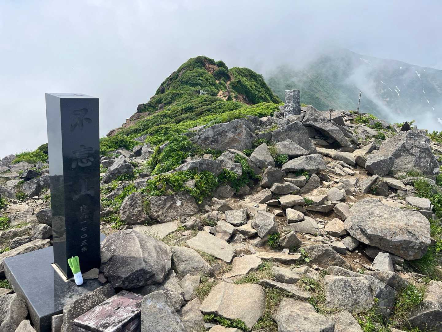 不忘山到着‼️
ネギくんもご満悦😙