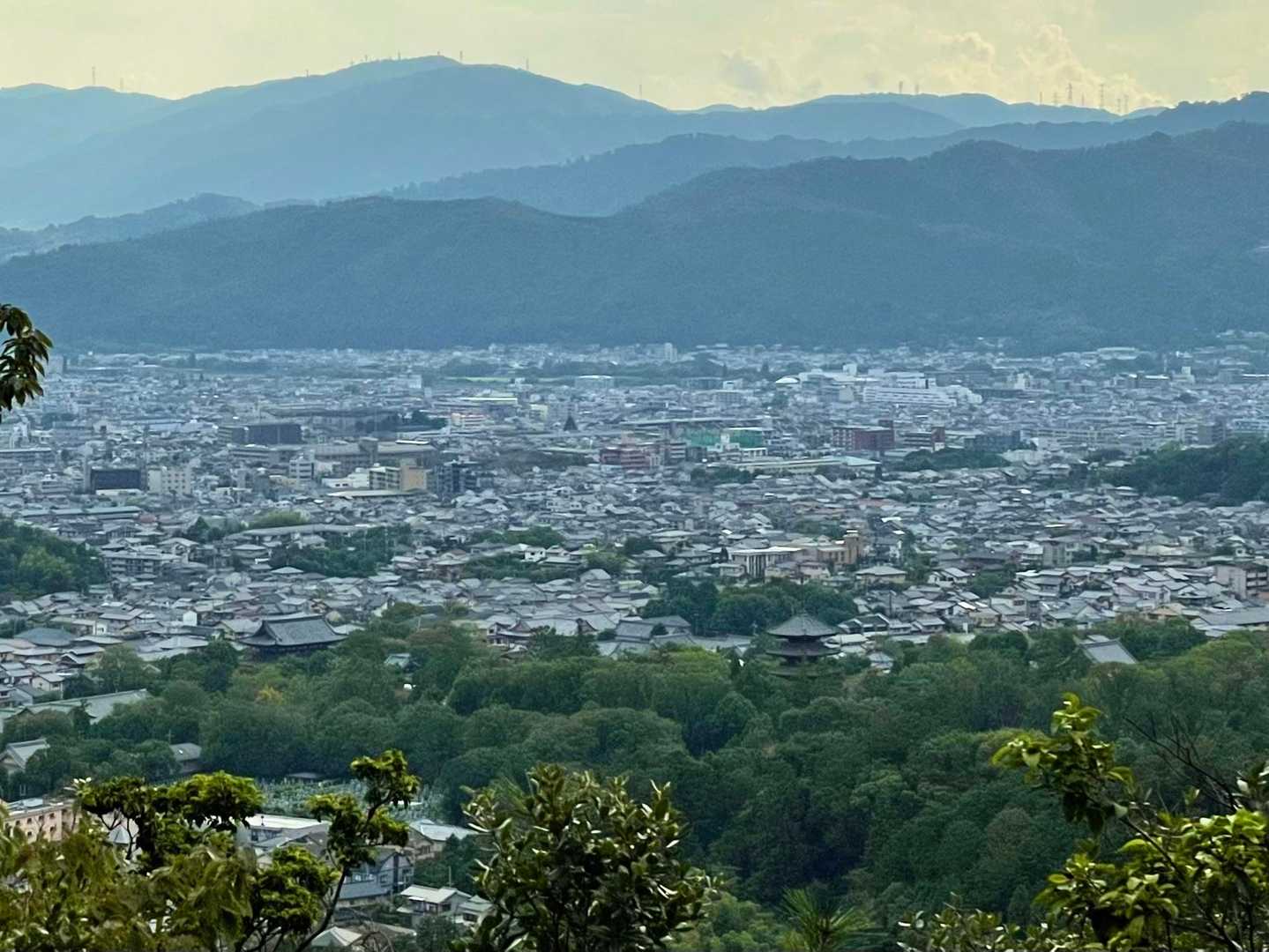 反対側からは仁和寺  五重塔が見えた