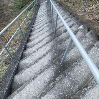 登りより降りの方が頭がバズるナナメ階段