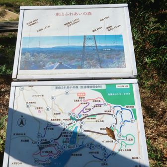 直ぐに東山頂上