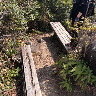 ベンチはあるが狭い