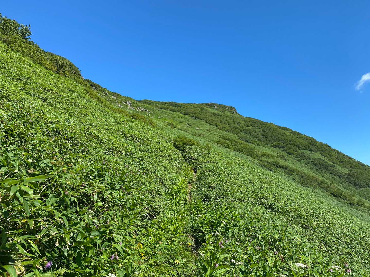 少し登ると、また開けた✨
南狩場山が見えてきた😆⤴️