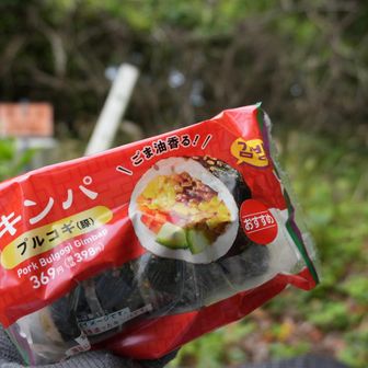 お腹ぺこぺこ‪💦‬
まだ早いけどここで軽い昼食を取ることにします
このキンパ、ミニサイズなのでちょこっと食べるのにピッタリで美味しかった✨😋