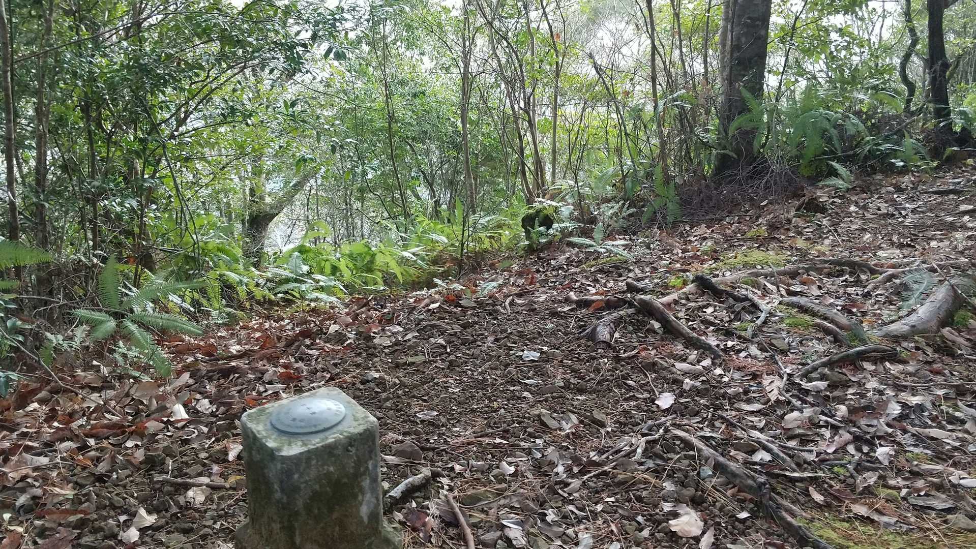 三角点。眺望はなし。