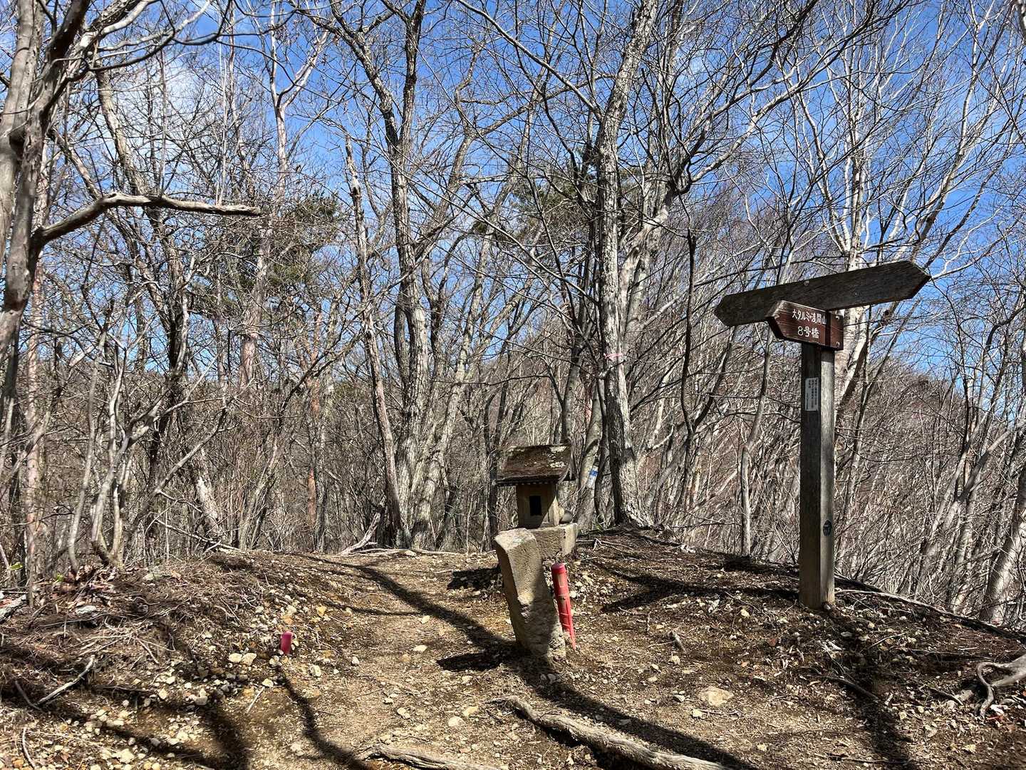 子持山 周回コースの写真