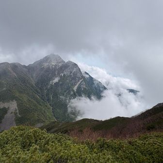 先程まで雲が掛かっていましたが、
鋸岳が姿を見せてくれました✨