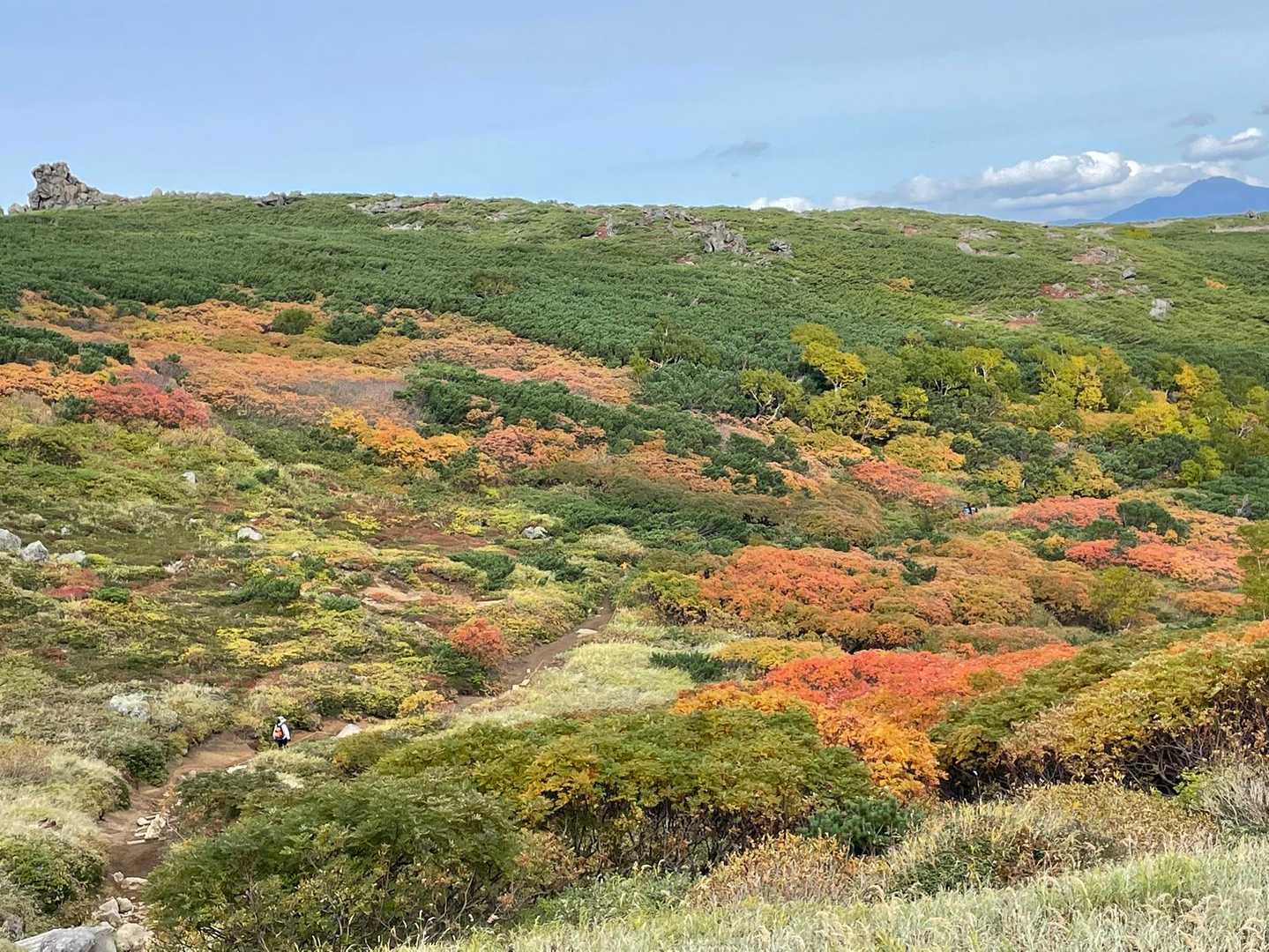 赤岳登山口-第一花園-赤岳 往復コースの写真