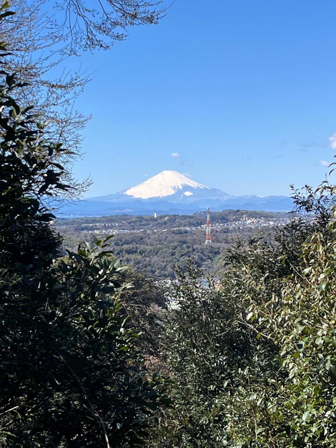 尾根道から富士山が見えましたー。