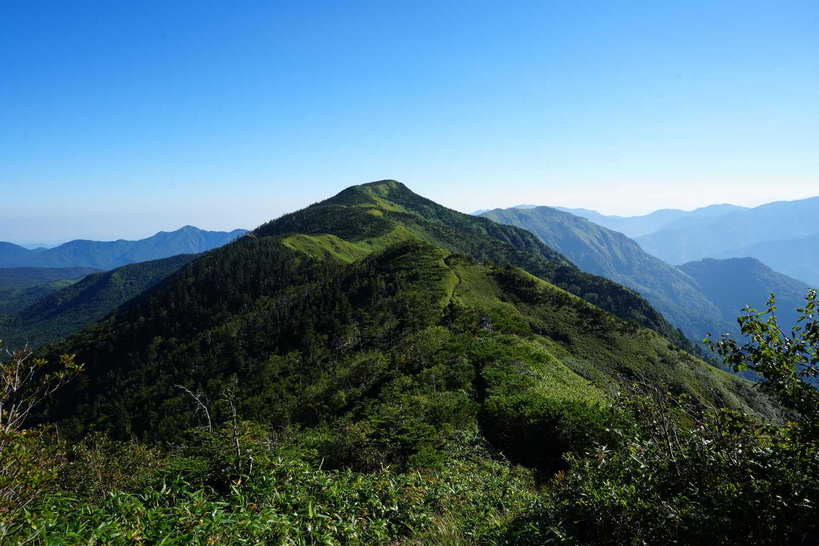 裏岩菅山