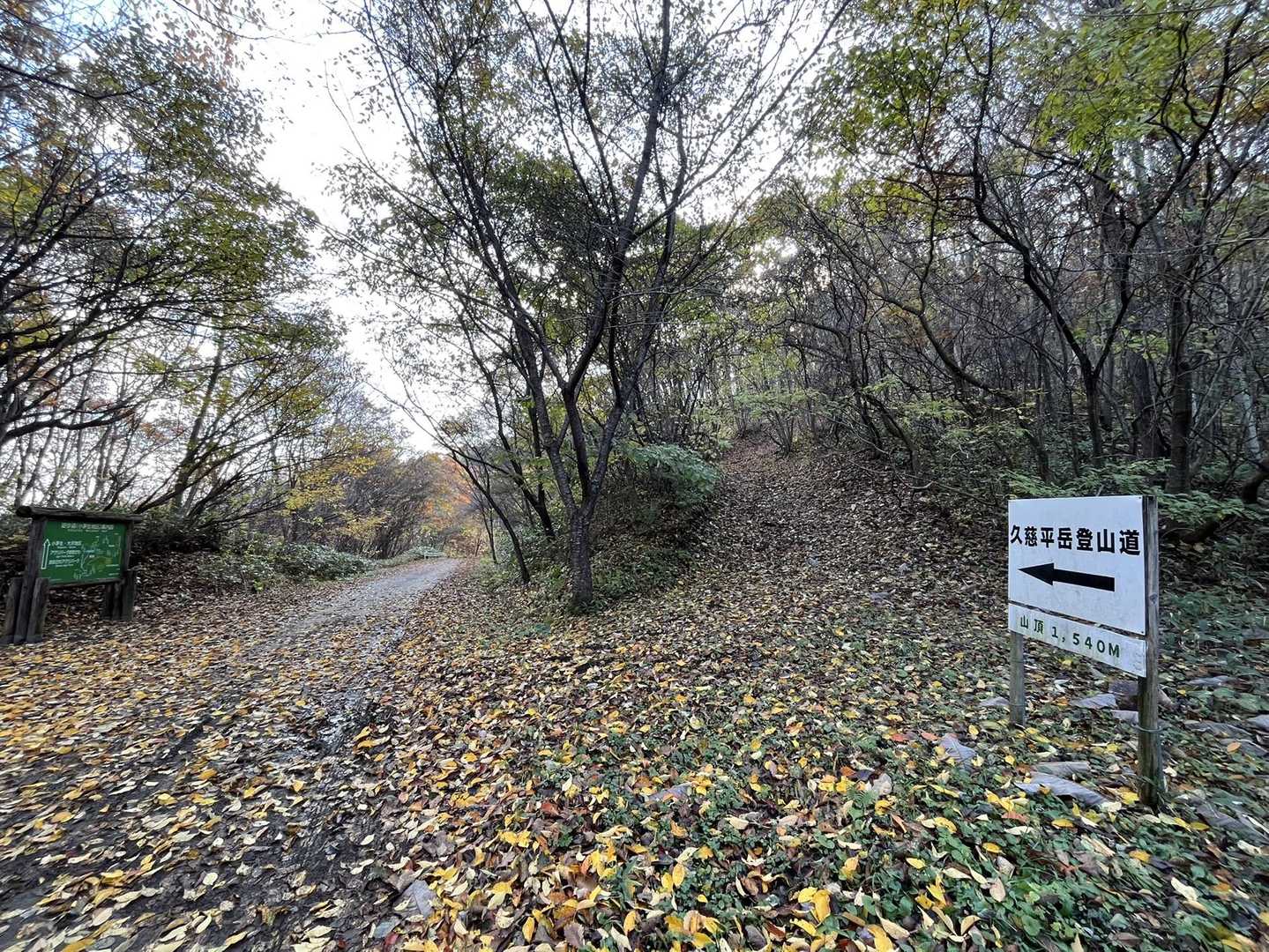 大沢コース登山道入口