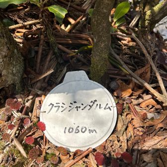 あら！無心で登ってたらジャンダルム⛰️
結構、きつい登りだったなぁ、一歩先が崖もあるし油断したらマジで滑落する😱
気を引き締めて先に進む👉