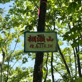 ピンテ辿って、棚瀬山⛰️到着